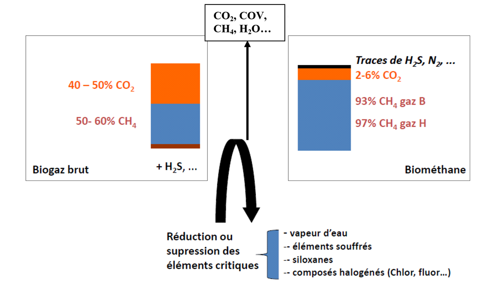 Schéma simplifié de l'épuration du biogaz